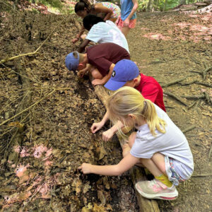 Campamento de Verano