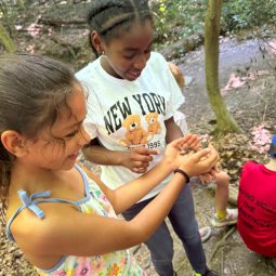 WhatsApp Image 2025-06-05 at 20.06.41 (17)